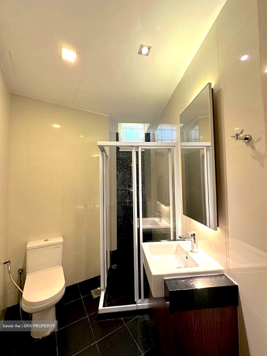 Orange Regency (D10), Apartment #520012011